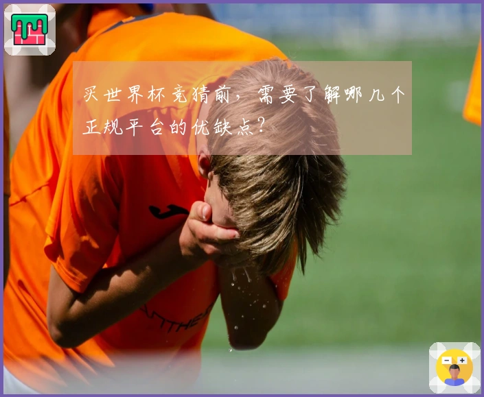 买世界杯竞猜前，需要了解哪几个正规平台的优缺点？