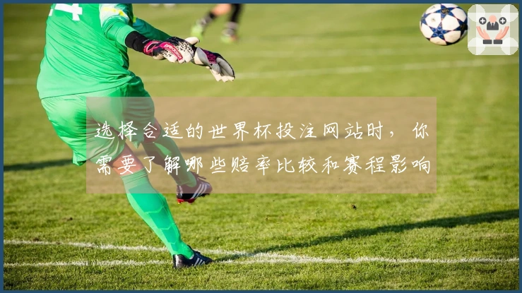 选择合适的世界杯投注网站时，你需要了解哪些赔率比较和赛程影响因素