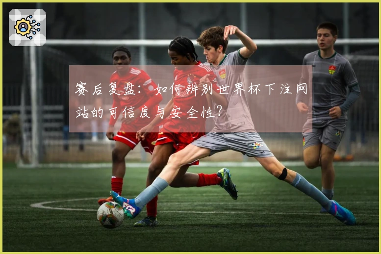 赛后复盘：如何辨别世界杯下注网站的可信度与安全性？