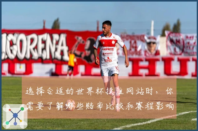 选择合适的世界杯投注网站时，你需要了解哪些赔率比较和赛程影响因素