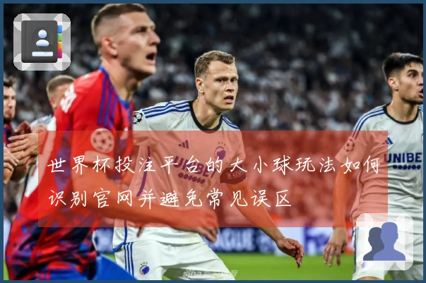 世界杯投注平台的大小球玩法如何识别官网并避免常见误区