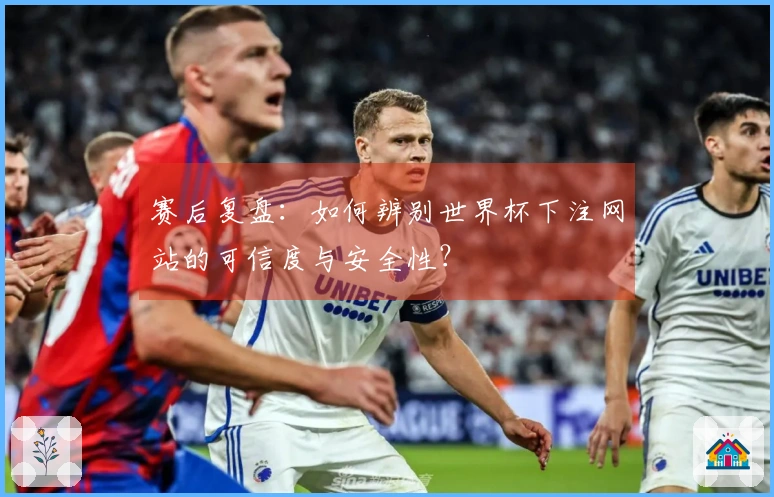 赛后复盘：如何辨别世界杯下注网站的可信度与安全性？