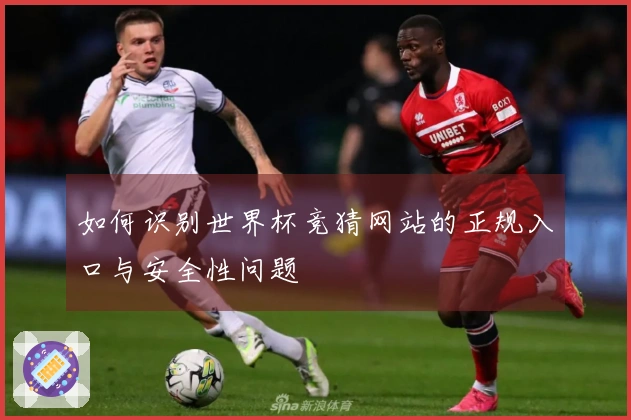 如何识别世界杯竞猜网站的正规入口与安全性问题