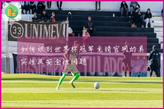 如何识别世界杯冠军竞猜官网的真实性及安全性问题