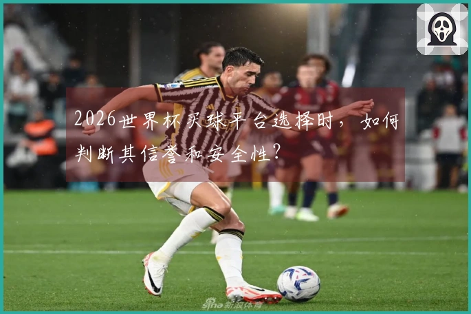 2026世界杯买球平台选择时，如何判断其信誉和安全性？