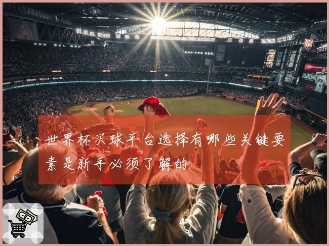 世界杯买球平台选择有哪些关键要素是新手必须了解的