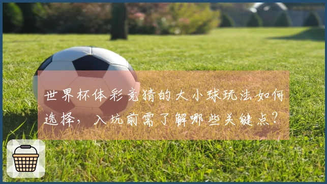 世界杯体彩竞猜的大小球玩法如何选择，入坑前需了解哪些关键点？