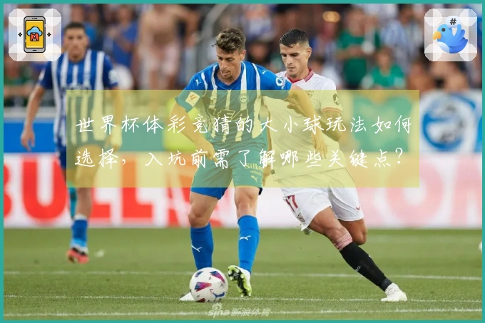世界杯体彩竞猜的大小球玩法如何选择，入坑前需了解哪些关键点？