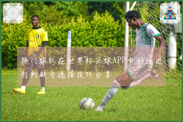 热门球队在世界杯买球APP中如何进行判断与选择技巧分享